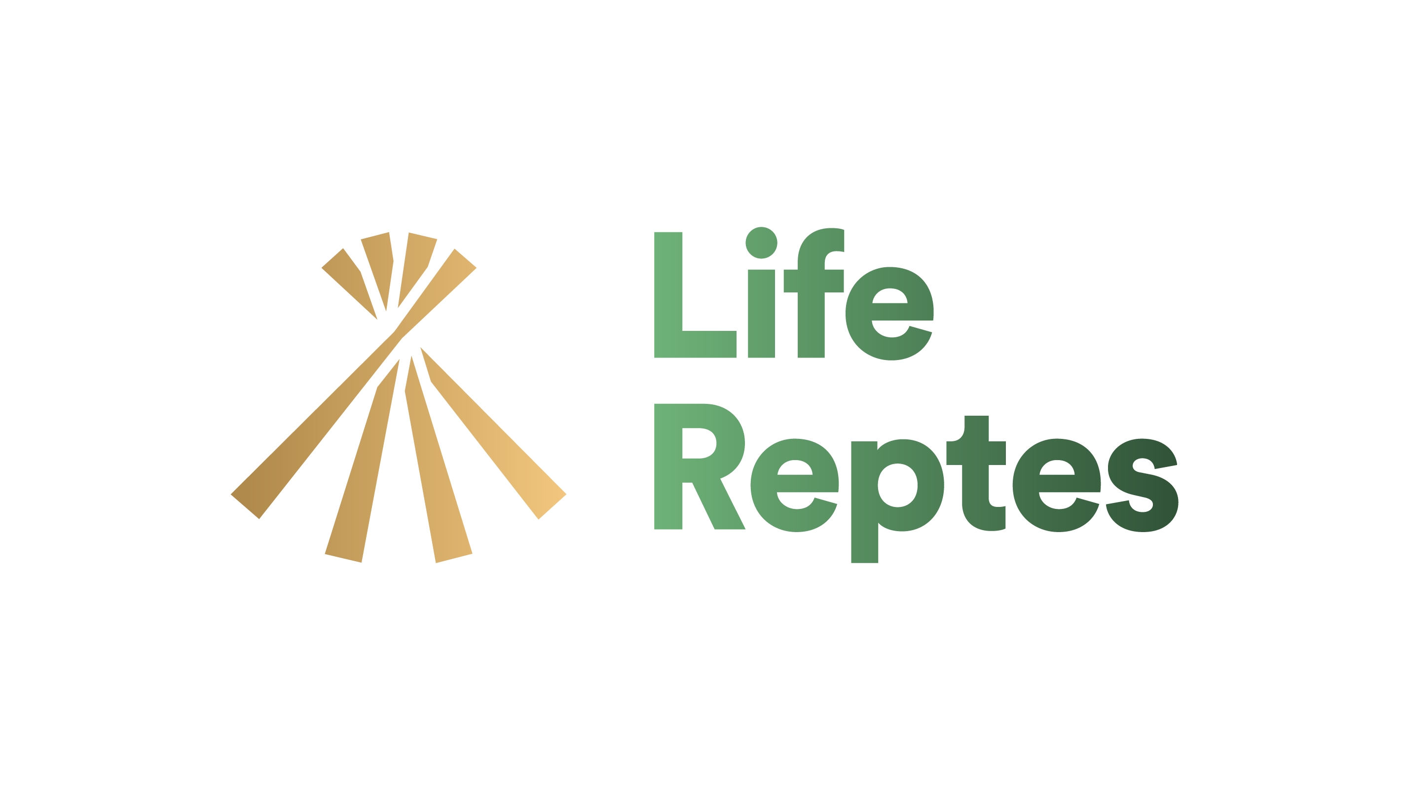 LOGO LIFE REPTES